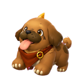 Polapup Terra