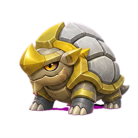 Tetroise Primo